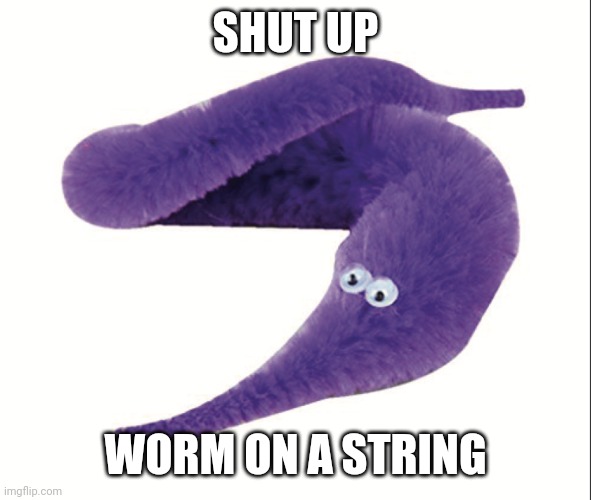 Worm on a string | SHUT UP WORM ON A STRING | image tagged in worm on a string | made w/ Imgflip meme maker