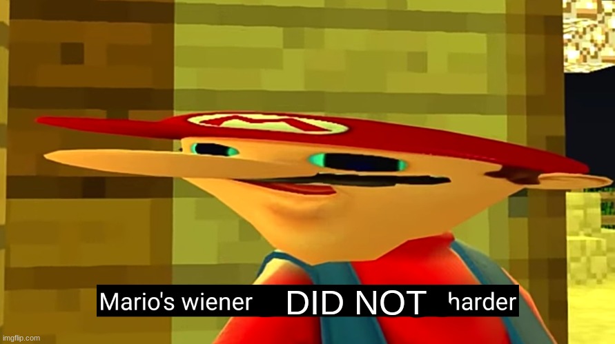 DID NOT | image tagged in marios weiner just got a little bit harder | made w/ Imgflip meme maker