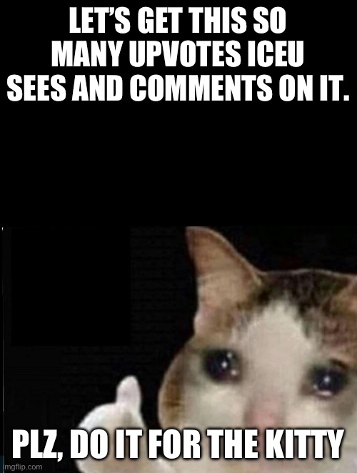 PLZ | LET’S GET THIS SO MANY UPVOTES ICEU SEES AND COMMENTS ON IT. PLZ, DO IT FOR THE KITTY | image tagged in kittens | made w/ Imgflip meme maker