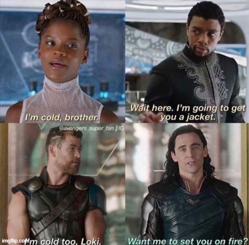 loki: 'hol up lemme find the matches' hahahaha | image tagged in loki and thor lol,marvel,brothers,barney will eat all of your delectable biscuits,oh wow are you actually reading these tags | made w/ Imgflip meme maker