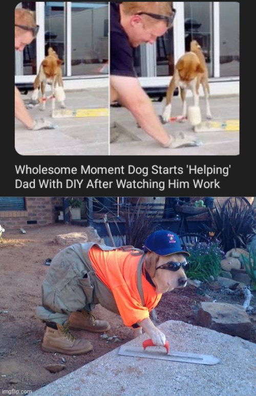 DIY | image tagged in construction dog,diy,dogs,dog,memes,wholesome 100 | made w/ Imgflip meme maker