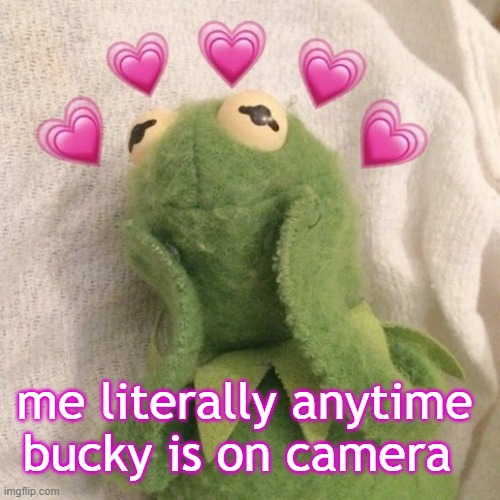 Blushing Kermit  | me literally anytime bucky is on camera | image tagged in blushing kermit | made w/ Imgflip meme maker