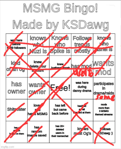 MSMG Bingo! | image tagged in msmg bingo | made w/ Imgflip meme maker