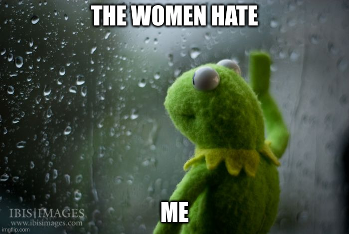 hate me | THE WOMEN HATE; ME | image tagged in kermit window | made w/ Imgflip meme maker