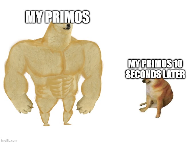 Big dog small dog | MY PRIMOS; MY PRIMOS 10 SECONDS LATER | image tagged in big dog small dog | made w/ Imgflip meme maker