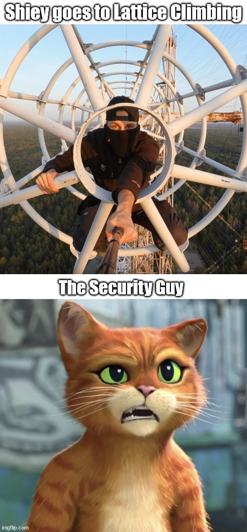 Shiey lattice climbing | Shiey goes to Lattice Climbing; The Security Guy | image tagged in shiey,meme,puss in boots,lattice climbing,germany | made w/ Imgflip meme maker