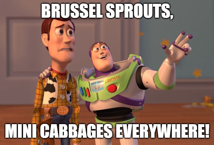 X, X Everywhere Meme | BRUSSEL SPROUTS, MINI CABBAGES EVERYWHERE! | image tagged in memes,x x everywhere | made w/ Imgflip meme maker