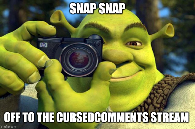 Snap snap | SNAP SNAP; OFF TO THE CURSEDCOMMENTS STREAM | image tagged in shrek camera,comment section,comments,comment,image,camera | made w/ Imgflip meme maker