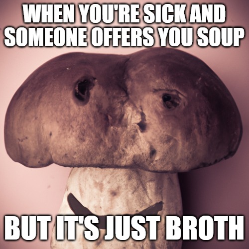 WHEN YOU'RE SICK AND SOMEONE OFFERS YOU SOUP; BUT IT'S JUST BROTH | made w/ Imgflip meme maker