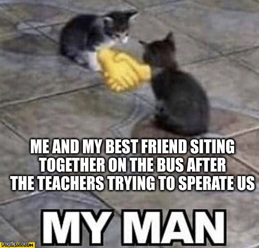FRRRRRR | ME AND MY BEST FRIEND SITING TOGETHER ON THE BUS AFTER THE TEACHERS TRYING TO SPERATE US | image tagged in cats shaking hands | made w/ Imgflip meme maker