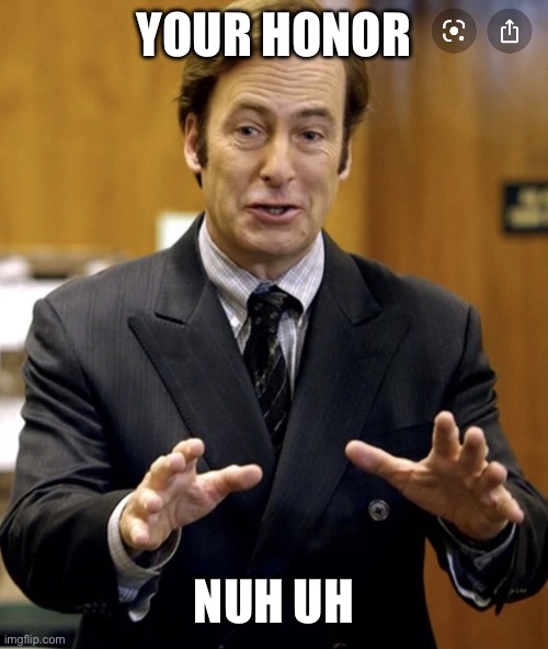 Your Honor, | YOUR HONOR NUH UH | image tagged in your honor | made w/ Imgflip meme maker