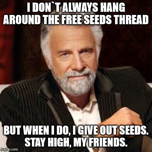 Dos Equis Guy Awesome | I DON`T ALWAYS HANG AROUND THE FREE SEEDS THREAD; BUT WHEN I DO, I GIVE OUT SEEDS.
STAY HIGH, MY FRIENDS. | image tagged in dos equis guy awesome | made w/ Imgflip meme maker