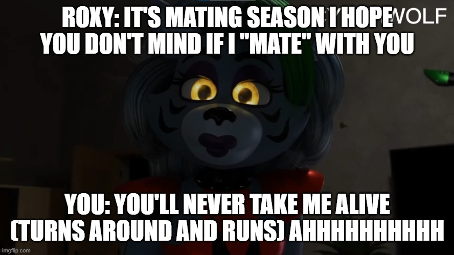 what happened to me the first time roxy appeared in my dreams p.s she was a hoe | ROXY: IT'S MATING SEASON I HOPE YOU DON'T MIND IF I "MATE" WITH YOU; YOU: YOU'LL NEVER TAKE ME ALIVE (TURNS AROUND AND RUNS) AHHHHHHHHHH | image tagged in roxy | made w/ Imgflip meme maker