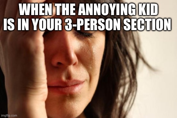 First World Problems | WHEN THE ANNOYING KID IS IN YOUR 3-PERSON SECTION | image tagged in memes,first world problems | made w/ Imgflip meme maker