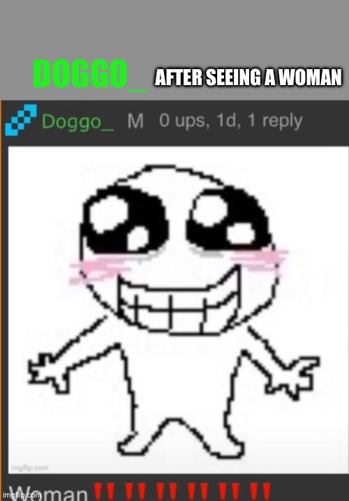 Woman!!! | AFTER SEEING A WOMAN; DOGGO_ | image tagged in woman | made w/ Imgflip meme maker