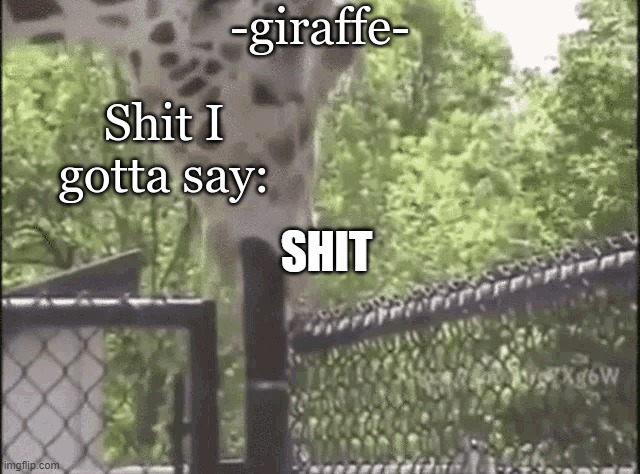 bro was lazy with his text boxes | SHIT | image tagged in -giraffe- | made w/ Imgflip meme maker