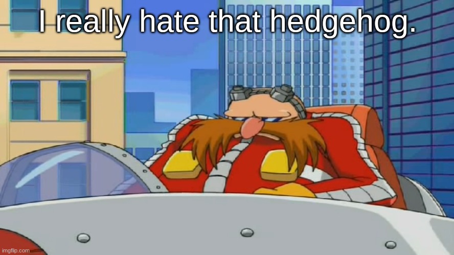 real | I really hate that hedgehog. | made w/ Imgflip meme maker