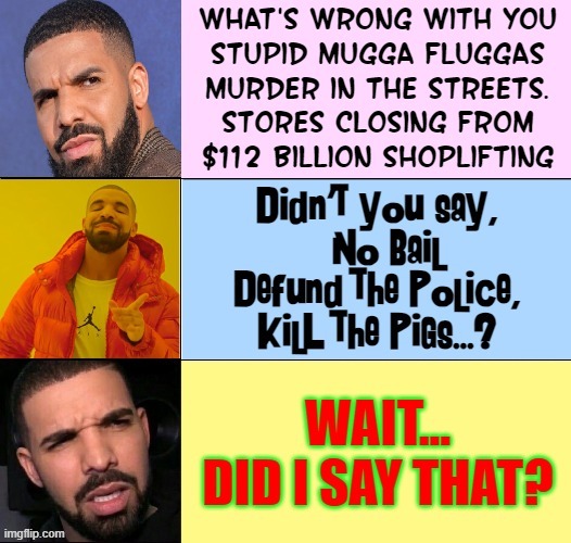 Murder, Stores Closing, High Cost of Goods? Blame Democrats | image tagged in vince vance,drake hotline bling,memes,defund the police,no bail,reform | made w/ Imgflip meme maker