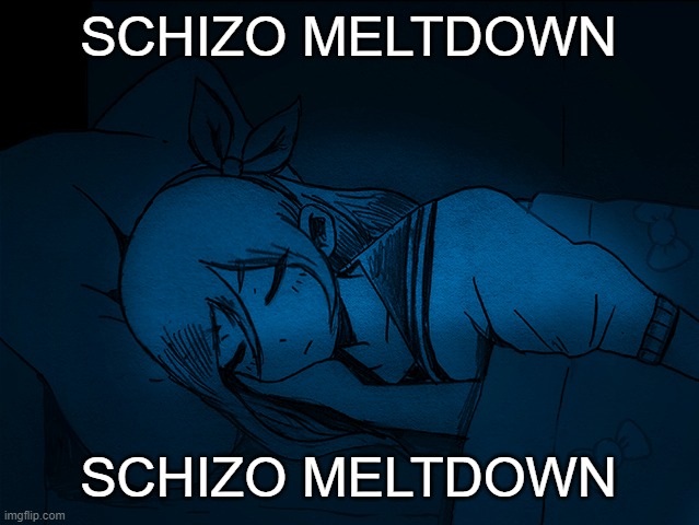 auby sleep | SCHIZO MELTDOWN; SCHIZO MELTDOWN | image tagged in auby sleep | made w/ Imgflip meme maker