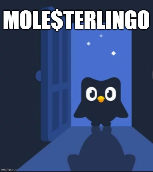 Duolingo bird | MOLE$TERLINGO | image tagged in duolingo bird | made w/ Imgflip meme maker