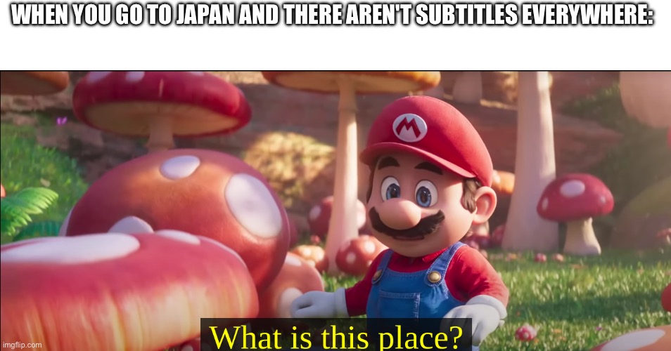 What is this place? | WHEN YOU GO TO JAPAN AND THERE AREN'T SUBTITLES EVERYWHERE: | image tagged in what is this place | made w/ Imgflip meme maker