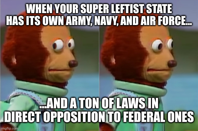 Awkward look | WHEN YOUR SUPER LEFTIST STATE HAS ITS OWN ARMY, NAVY, AND AIR FORCE... ...AND A TON OF LAWS IN DIRECT OPPOSITION TO FEDERAL ONES | image tagged in awkward look | made w/ Imgflip meme maker