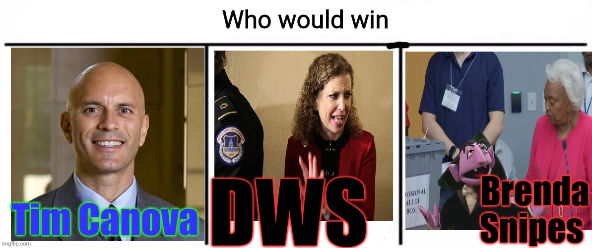 3x who would win | Tim Canova DWS Brenda Snipes | image tagged in 3x who would win | made w/ Imgflip meme maker