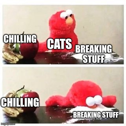 elmo cocaine | CHILLING; CATS; BREAKING STUFF; CHILLING; BREAKING STUFF | image tagged in elmo cocaine | made w/ Imgflip meme maker