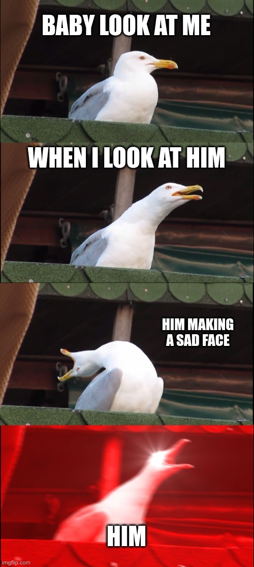 Inhaling Seagull | BABY LOOK AT ME; WHEN I LOOK AT HIM; HIM MAKING A SAD FACE; HIM | image tagged in memes,inhaling seagull | made w/ Imgflip meme maker