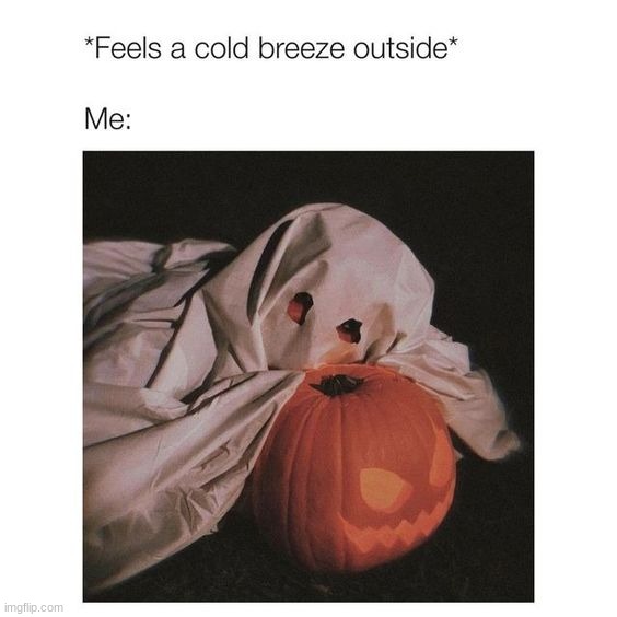 image tagged in memes,funny | made w/ Imgflip meme maker