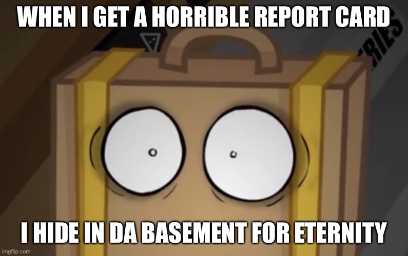 Suitcase | WHEN I GET A HORRIBLE REPORT CARD; I HIDE IN DA BASEMENT FOR ETERNITY | image tagged in suitcase | made w/ Imgflip meme maker