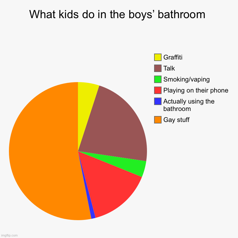 What | What kids do in the boys’ bathroom | Gay stuff, Actually using the bathroom, Playing on their phone, Smoking/vaping, Talk, Graffiti | image tagged in charts,pie charts | made w/ Imgflip chart maker