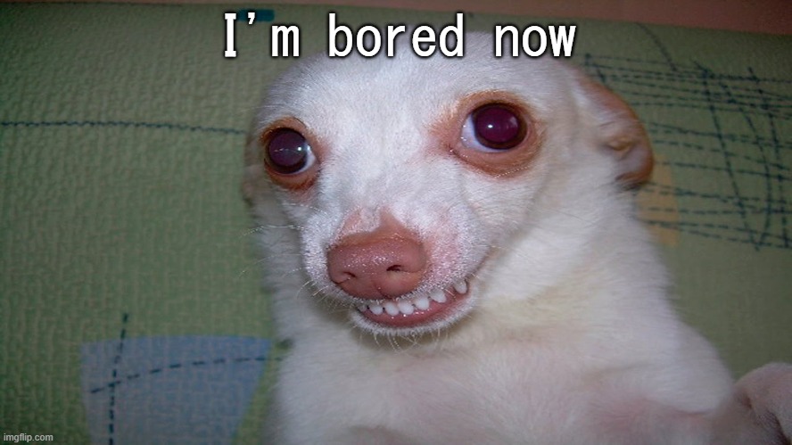 embarrassed grin | I'm bored now | image tagged in embarrassed grin | made w/ Imgflip meme maker