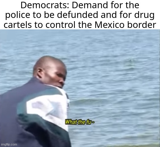 (sigh) this will be hated on...just waiting now... | Democrats: Demand for the police to be defunded and for drug cartels to control the Mexico border | image tagged in what the fu- | made w/ Imgflip meme maker