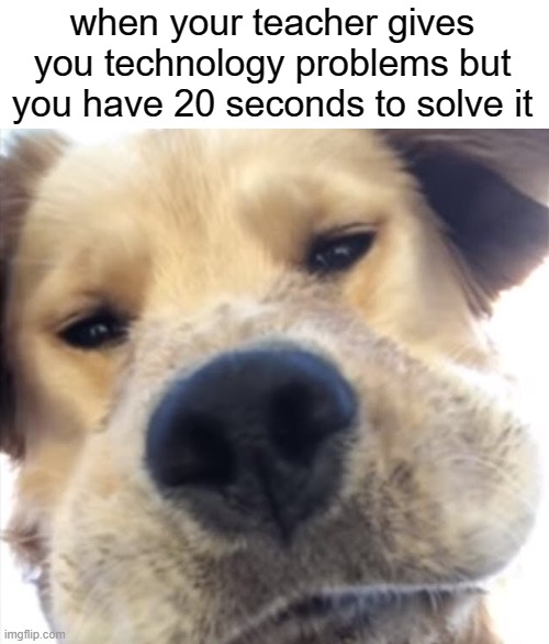 |:| | when your teacher gives you technology problems but you have 20 seconds to solve it | image tagged in doggo bruh,memes,funny | made w/ Imgflip meme maker
