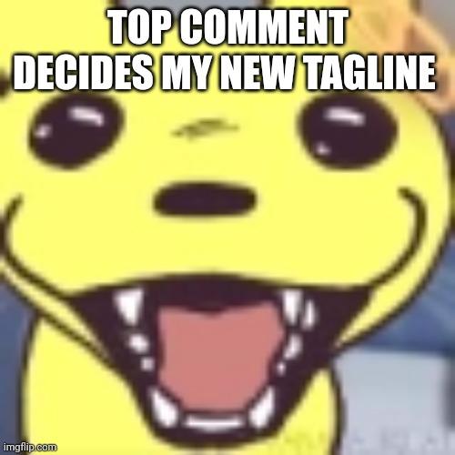 Monksilly | TOP COMMENT DECIDES MY NEW TAGLINE | image tagged in monksilly | made w/ Imgflip meme maker