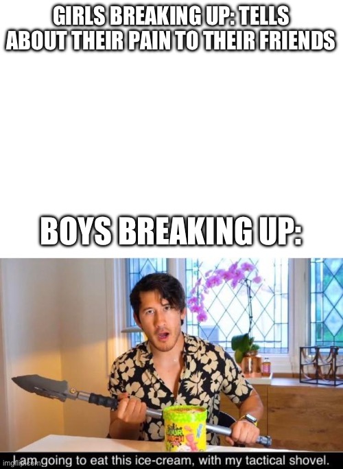 True | GIRLS BREAKING UP: TELLS ABOUT THEIR PAIN TO THEIR FRIENDS; BOYS BREAKING UP: | image tagged in markiplier | made w/ Imgflip meme maker