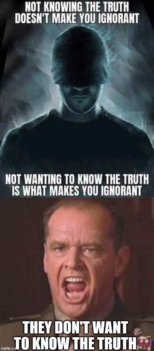 Lib don't want to know the truth... that's why they never stray from their misleadia propaganda... | THEY DON'T WANT TO KNOW THE TRUTH | image tagged in you can't handle the truth,super_triggered,liberals | made w/ Imgflip meme maker