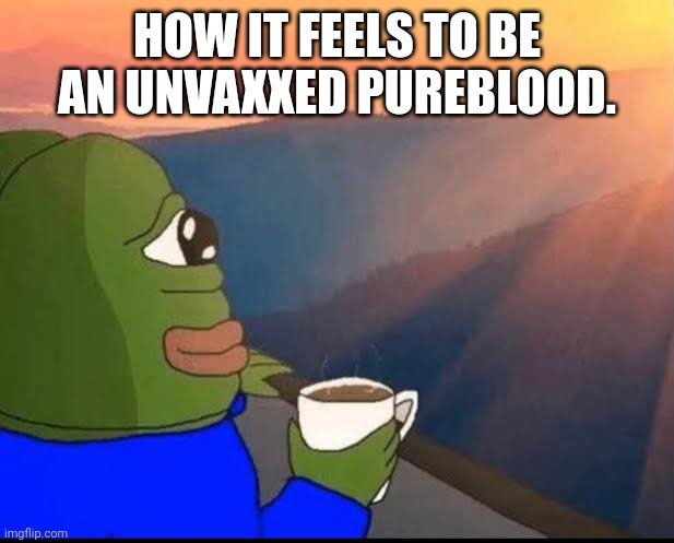 The left will justify till the day they die. | HOW IT FEELS TO BE AN UNVAXXED PUREBLOOD. | image tagged in liberal logic,anti vax,covid vaccine,death jab,clot shot,died | made w/ Imgflip meme maker
