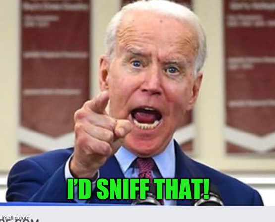 Joe Biden no malarkey | I’D SNIFF THAT! | image tagged in joe biden no malarkey | made w/ Imgflip meme maker