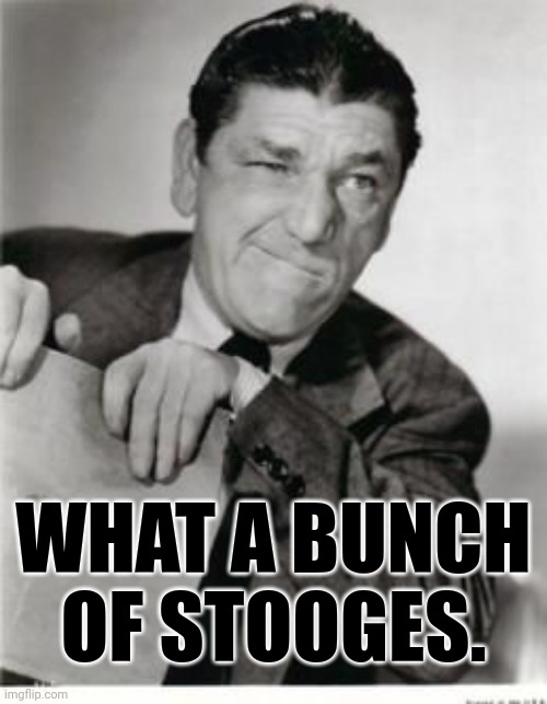 WHAT A BUNCH OF STOOGES. | made w/ Imgflip meme maker
