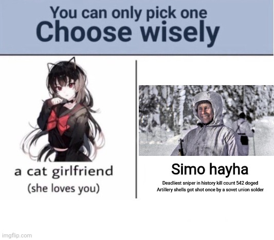 Choose wisely | Simo hayha; Deadliest sniper in history kill count 542 doged Artillery shells got shot once by a sovet union solder | image tagged in choose wisely | made w/ Imgflip meme maker