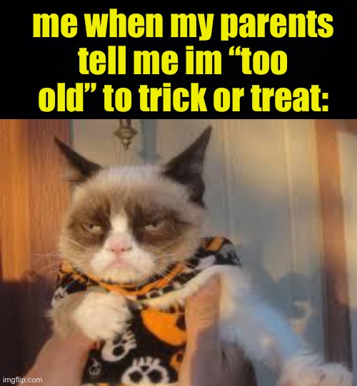 LET ME GET FREE CANDY YOU FIENDS | me when my parents tell me im “too old” to trick or treat: | image tagged in memes,grumpy cat halloween,fresh memes,funny | made w/ Imgflip meme maker