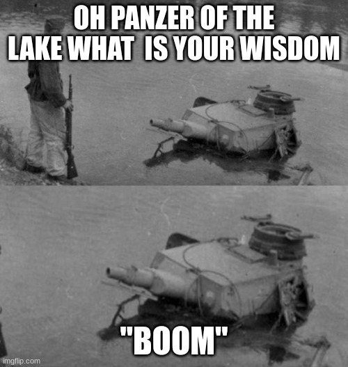 what did you expect | OH PANZER OF THE LAKE WHAT  IS YOUR WISDOM; "BOOM" | image tagged in oh panzer of the lake | made w/ Imgflip meme maker