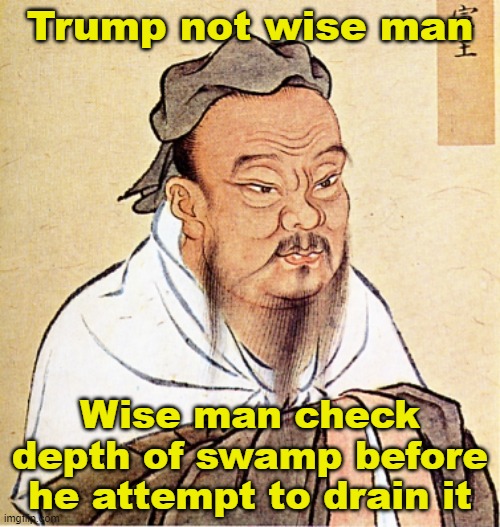 They don't call it the "Deep State" for nothing | Trump not wise man; Wise man check depth of swamp before he attempt to drain it | image tagged in confucius says,deep state,drain the swamp trump,doj,government corruption | made w/ Imgflip meme maker