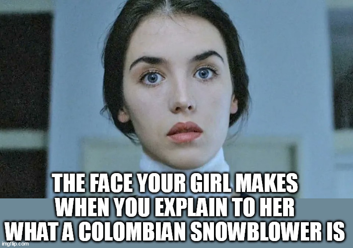 The face your girl makes when you explain to her what a Colombian snowblower is | THE FACE YOUR GIRL MAKES WHEN YOU EXPLAIN TO HER WHAT A COLOMBIAN SNOWBLOWER IS | image tagged in surprise,funny,girl,colombian snowblower,cocaine | made w/ Imgflip meme maker