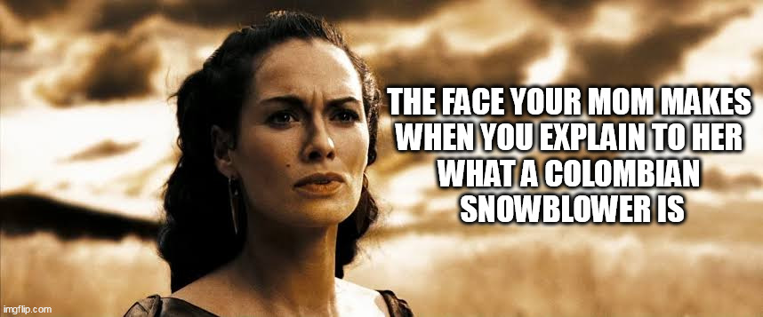 The face your mom makes when you explain to her what a Colombian snowblower is | THE FACE YOUR MOM MAKES 
WHEN YOU EXPLAIN TO HER 
WHAT A COLOMBIAN 
SNOWBLOWER IS | image tagged in 300,funny,colombian  snowblower,cocaine,ass | made w/ Imgflip meme maker