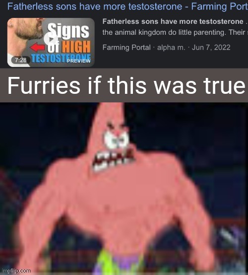 Fatherless sons have more testosterone | Furries if this was true | image tagged in fatherless sons have more testosterone | made w/ Imgflip meme maker