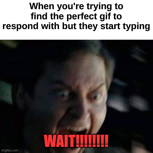 ever had this? | When you're trying to find the perfect gif to respond with but they start typing; WAIT!!!!!!!! | image tagged in screaming peter parker,texting | made w/ Imgflip meme maker