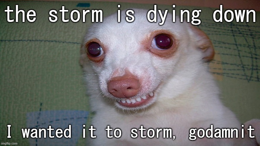 . | the storm is dying down; I wanted it to storm, godamnit | image tagged in embarrassed grin | made w/ Imgflip meme maker